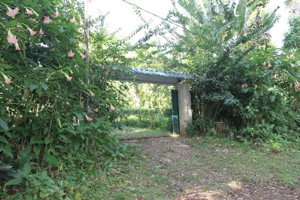 Willa Bema Farm Sao Jose Zewnętrze zdjęcie